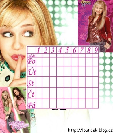 hannah montana (1).jpg